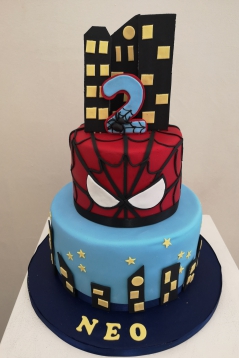 29